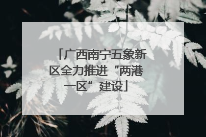 广西南宁五象新区全力推进“两港一区”建设