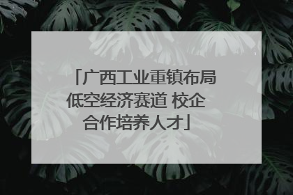 广西工业重镇布局低空经济赛道 校企合作培养人才
