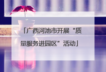 广西河池市开展“质量服务进园区”活动