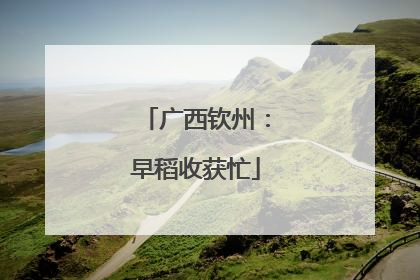 广西钦州：早稻收获忙