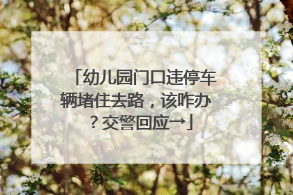 幼儿园门口违停车辆堵住去路，该咋办？交警回应→