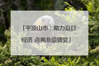 平顶山市：助力夏日经济 点亮非遗盛宴