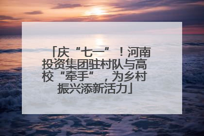 庆“七一”！河南投资集团驻村队与高校“牵手”，为乡村振兴添新活力