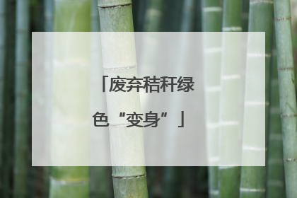 废弃秸秆绿色“变身”