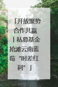 开放聚势 合作共赢丨私募基金抢滩云南蓝莓“时差红利”