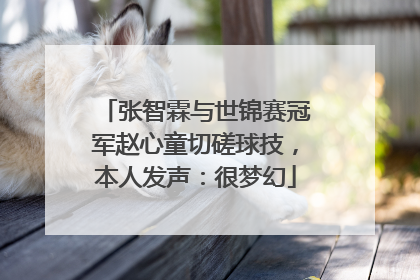 张智霖与世锦赛冠军赵心童切磋球技，本人发声：很梦幻
