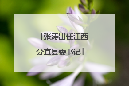 张涛出任江西分宜县委书记