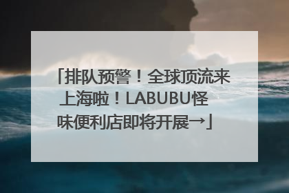 排队预警！全球顶流来上海啦！LABUBU怪味便利店即将开展→