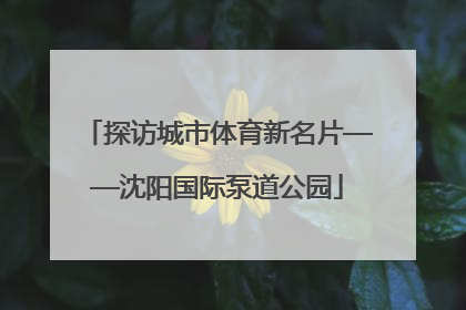 探访城市体育新名片——沈阳国际泵道公园