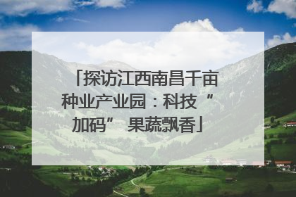 探访江西南昌千亩种业产业园：科技“加码” 果蔬飘香