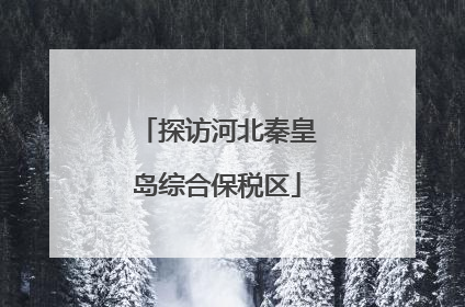 探访河北秦皇岛综合保税区