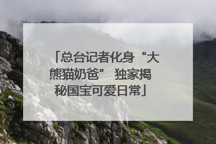 总台记者化身“大熊猫奶爸” 独家揭秘国宝可爱日常