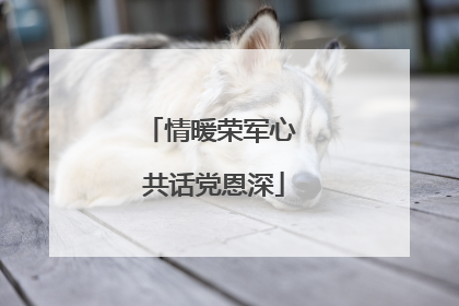 情暖荣军心 共话党恩深
