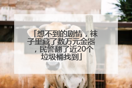 想不到的剧情，袜子里藏了数万元金器，民警翻了近20个垃圾桶找到