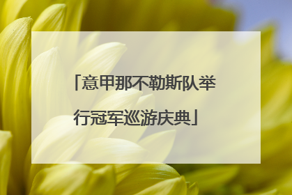 意甲那不勒斯队举行冠军巡游庆典