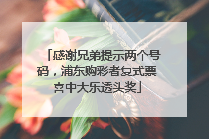 感谢兄弟提示两个号码，浦东购彩者复式票喜中大乐透头奖