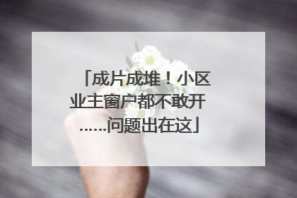 成片成堆！小区业主窗户都不敢开……问题出在这