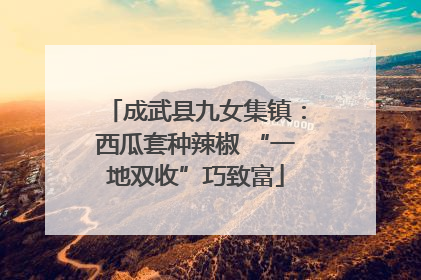 成武县九女集镇：西瓜套种辣椒 “一地双收”巧致富