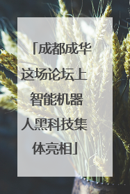 成都成华这场论坛上 智能机器人黑科技集体亮相