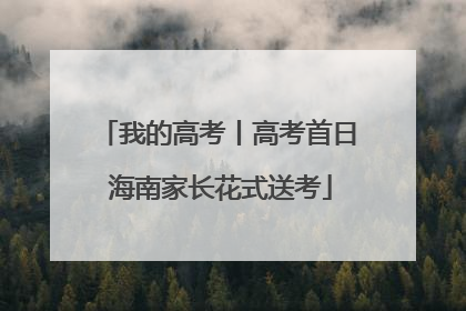 我的高考丨高考首日 海南家长花式送考