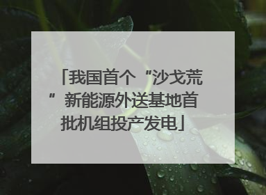 我国首个“沙戈荒”新能源外送基地首批机组投产发电