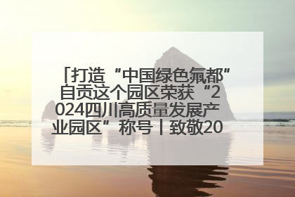 打造“中国绿色氟都” 自贡这个园区荣获“2024四川高质量发展产业园区”称号丨致敬2024经济影响力人物