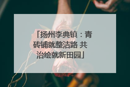 扬州李典镇：青砖铺就整洁路 共治绘就新田园