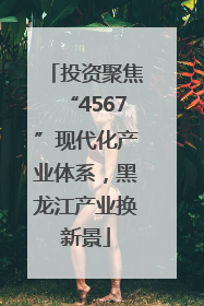 投资聚焦“4567”现代化产业体系，黑龙江产业换新景