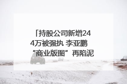 持股公司新增244万被强执 李亚鹏“商业版图”再陷泥潭？｜科技观察