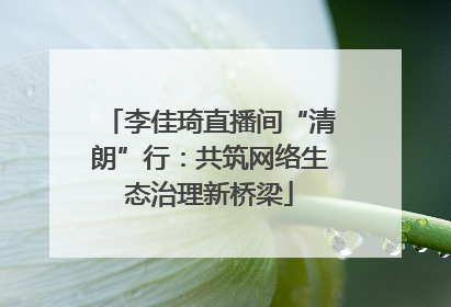 李佳琦直播间“清朗”行：共筑网络生态治理新桥梁