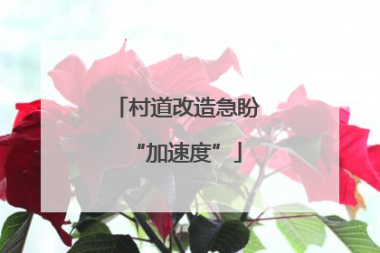 村道改造急盼“加速度”