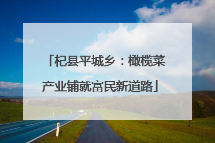 杞县平城乡：橄榄菜产业铺就富民新道路