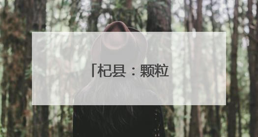 杞县：颗粒归仓丰收忙