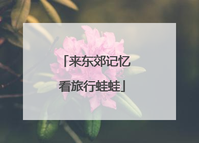 来东郊记忆 看旅行蛙蛙