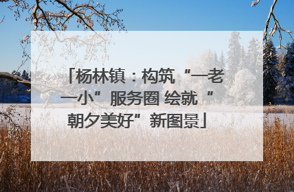 杨林镇：构筑“一老一小”服务圈 绘就“朝夕美好”新图景