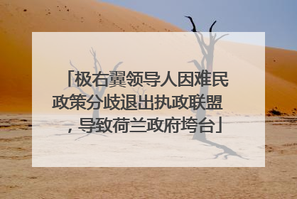 极右翼领导人因难民政策分歧退出执政联盟，导致荷兰政府垮台