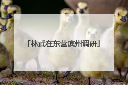 林武在东营滨州调研