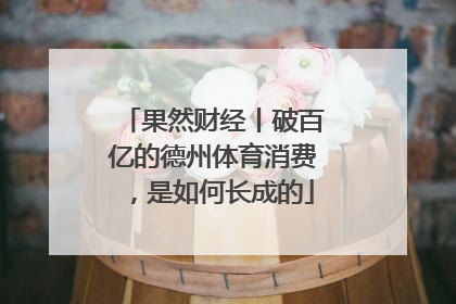 果然财经丨破百亿的德州体育消费，是如何长成的