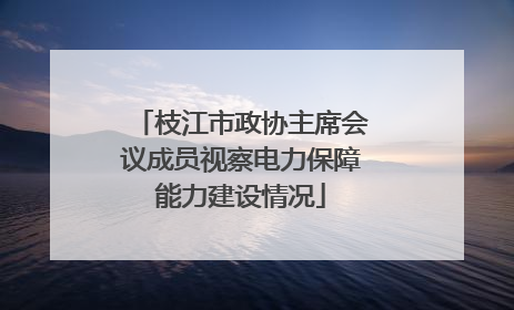 枝江市政协主席会议成员视察电力保障能力建设情况