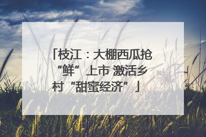 枝江：大棚西瓜抢“鲜”上市 激活乡村“甜蜜经济”