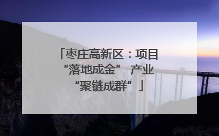 枣庄高新区：项目“落地成金” 产业“聚链成群”