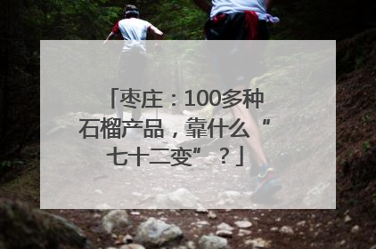 枣庄：100多种石榴产品，靠什么“七十二变”？