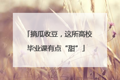 摘瓜收豆，这所高校毕业课有点“甜”