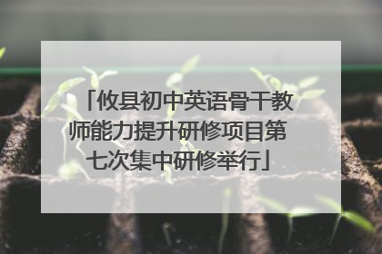 攸县初中英语骨干教师能力提升研修项目第七次集中研修举行