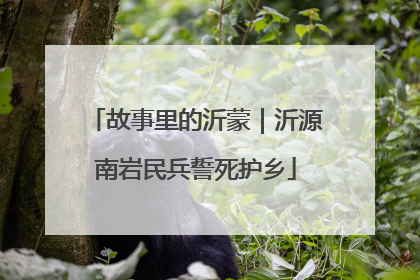 故事里的沂蒙｜沂源南岩民兵誓死护乡