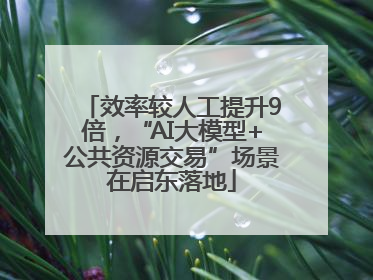 效率较人工提升9倍，“AI大模型+公共资源交易”场景在启东落地