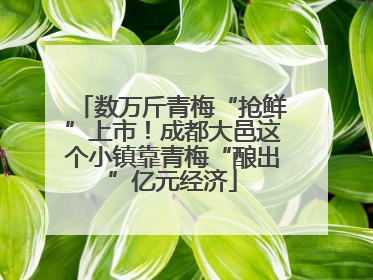 数万斤青梅“抢鲜”上市！成都大邑这个小镇靠青梅“酿出”亿元经济