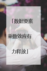 数据要素乘数效应有力释放