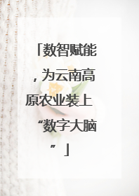 数智赋能，为云南高原农业装上“数字大脑”