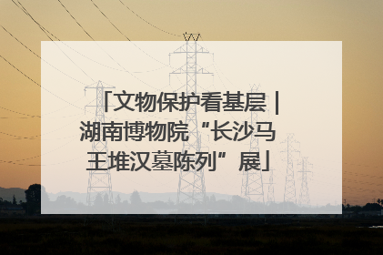 文物保护看基层｜湖南博物院“长沙马王堆汉墓陈列”展
